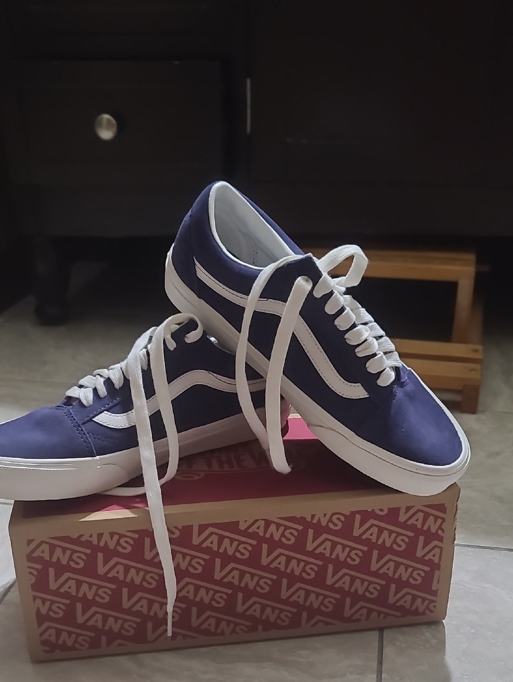 Vans Low-Top Sneakers in Navy and White